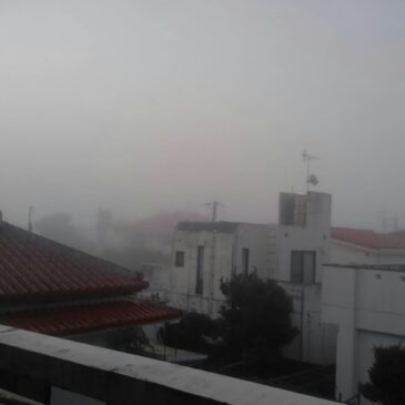 霧に包まれた沖縄の朝